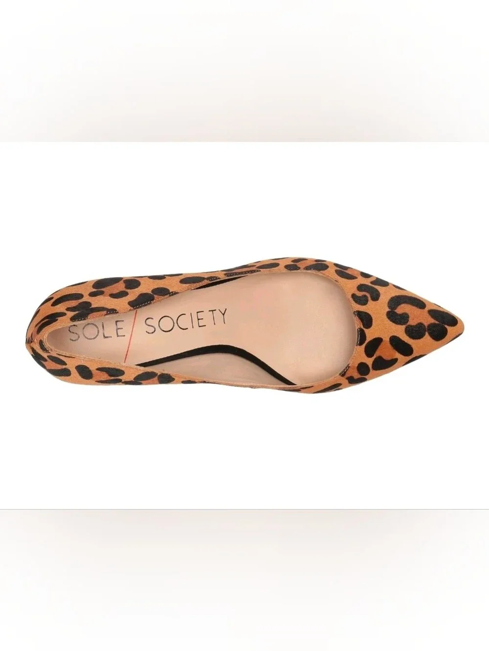 Sole Society Andorra Tan Black Leopard Block Heel Pointed Toe Dress Pumps 8.5